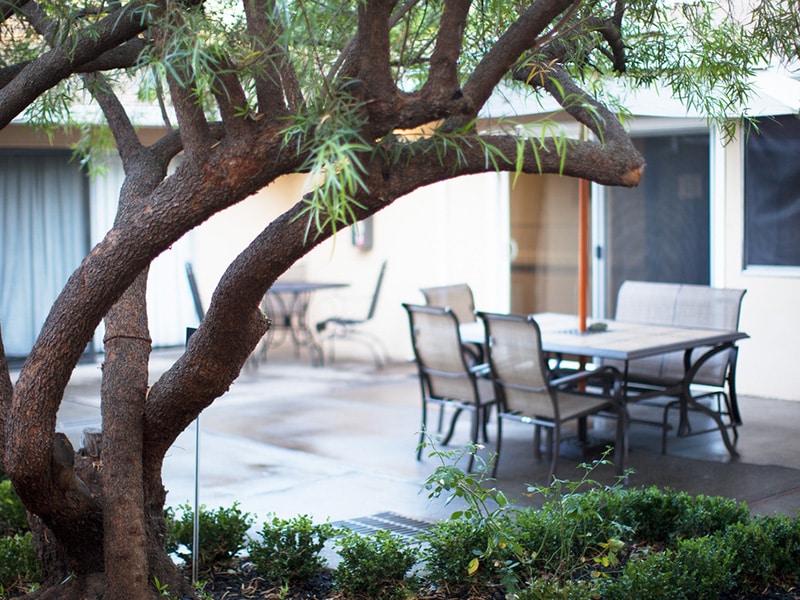 The courtyard with a table and chairs and tree at Mckinley Park